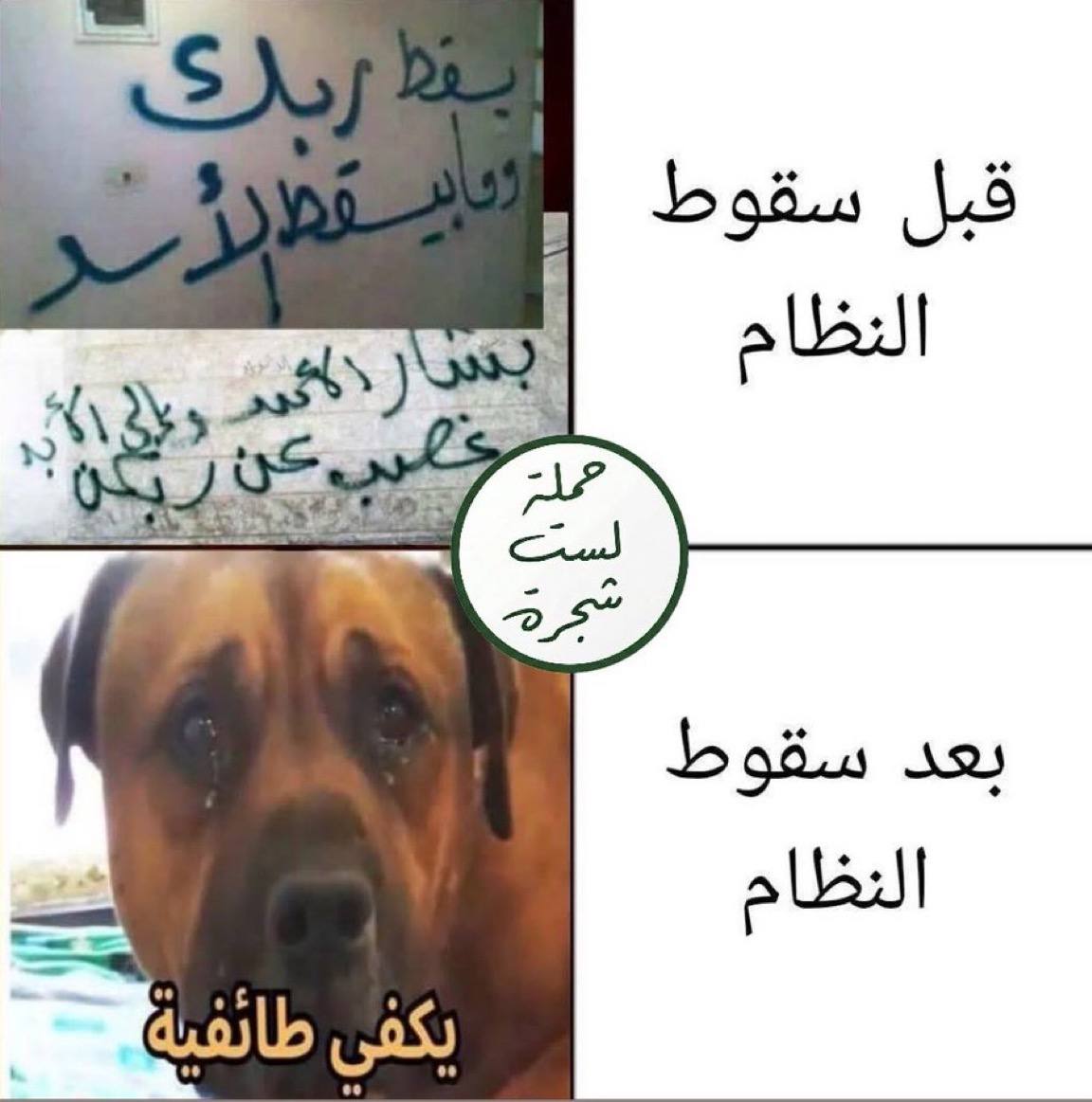صورة 4 من حملة لستَ شجرة